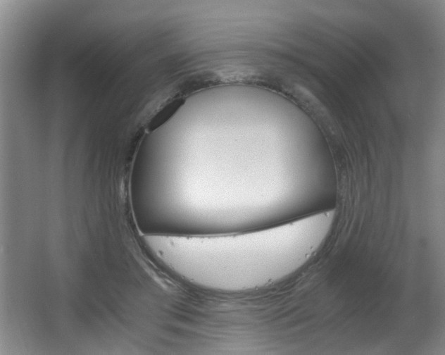 X0000063520405200601201130