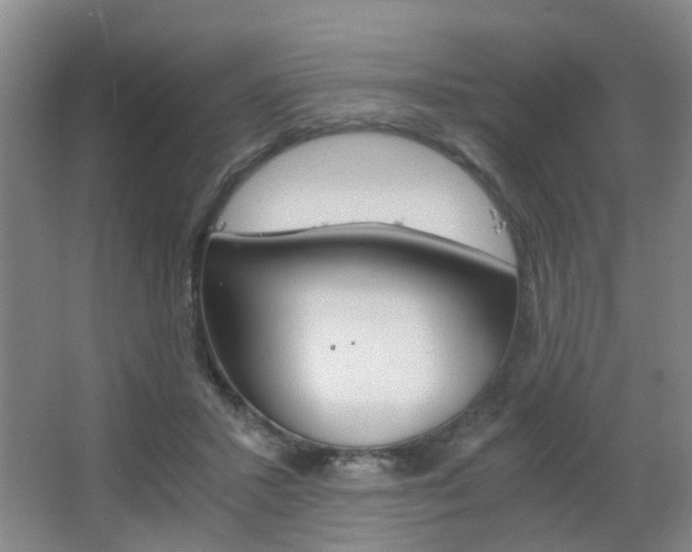 X0000063520407200601201130