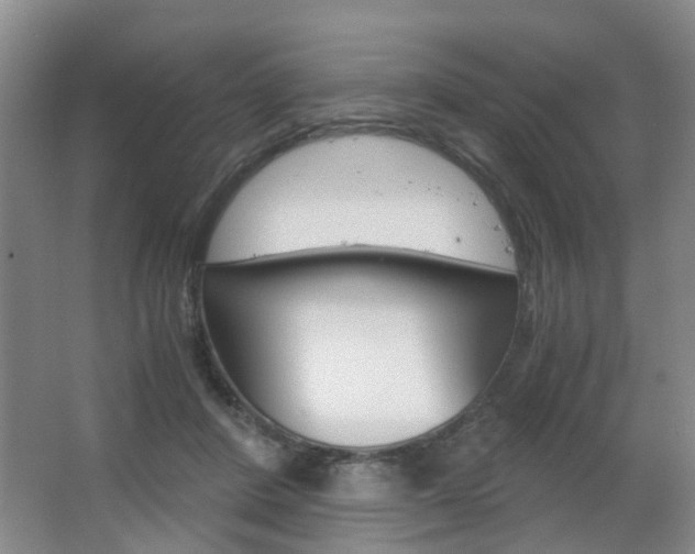 X0000063520408200601201130