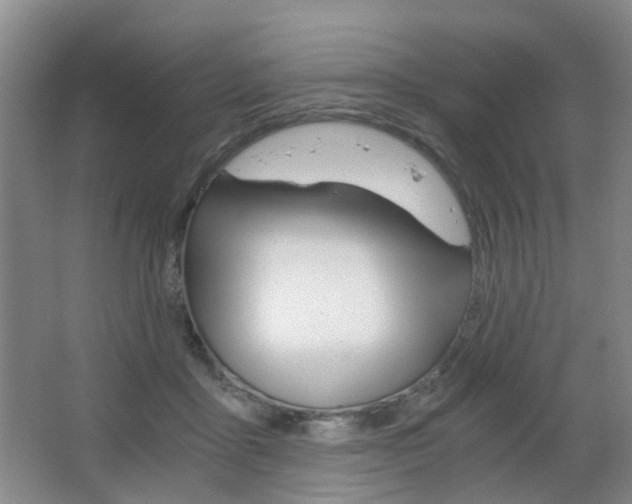 X0000063520411200601201130