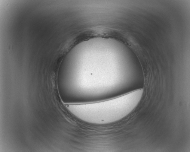 X0000063520413200601201130