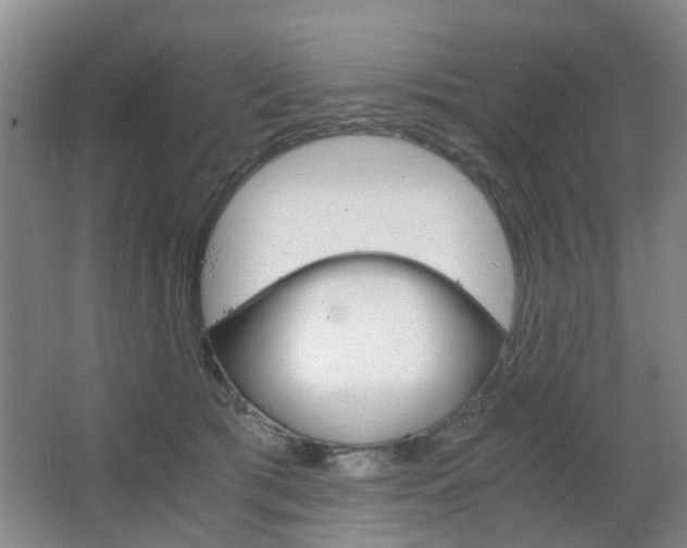 X0000063520417200601201130