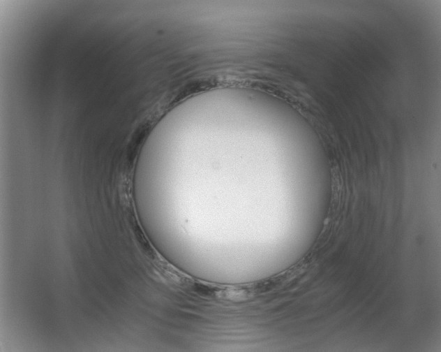 X0000063520419200601201130