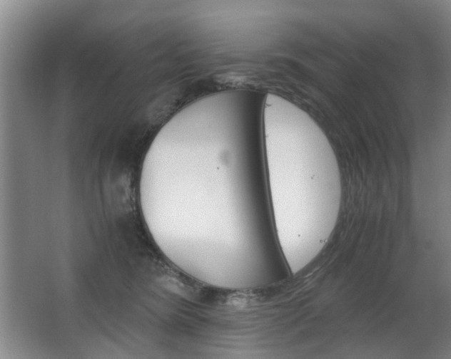 X0000063520420200601201130