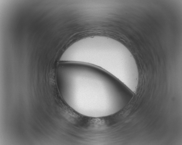 X0000063520421200601201130