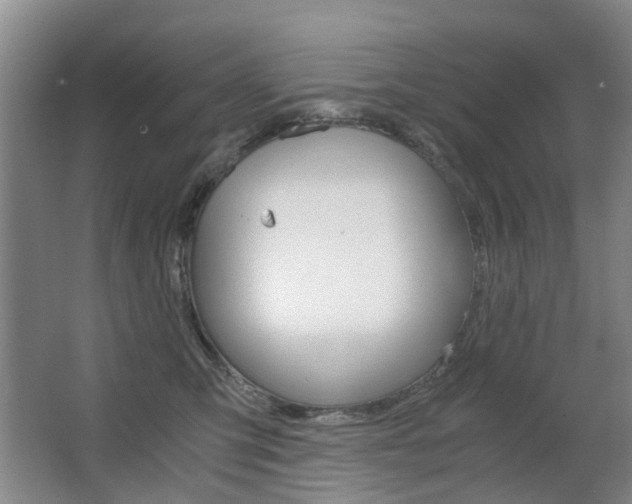 X0000063520423200601201130