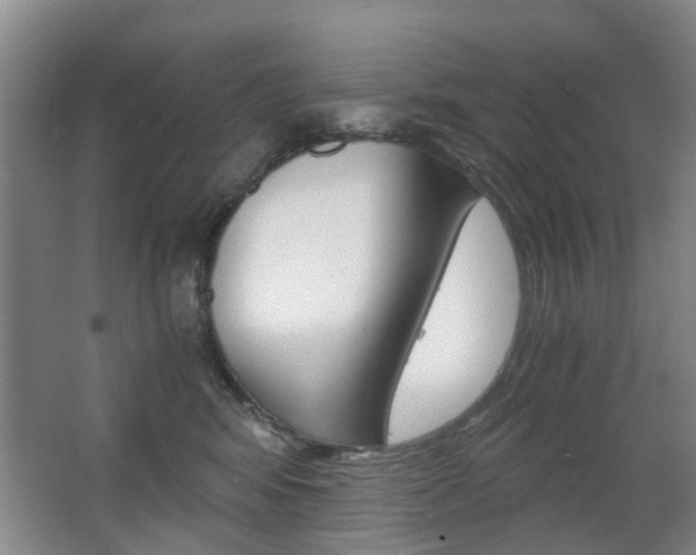 X0000063520424200601201130