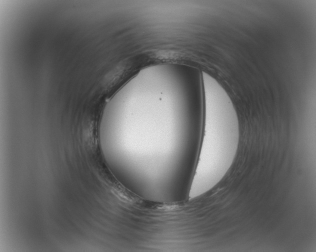 X0000063520428200601201130