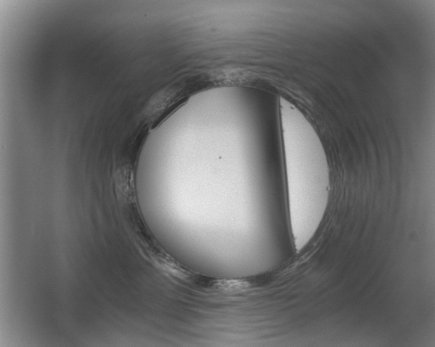 X0000063520429200601201130