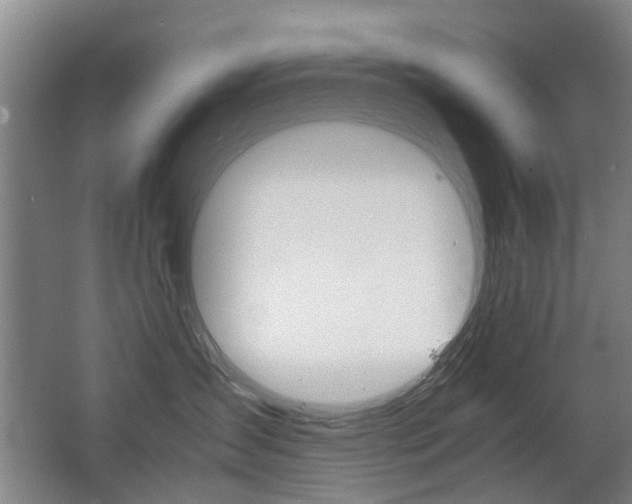 X0000063520431200601201130