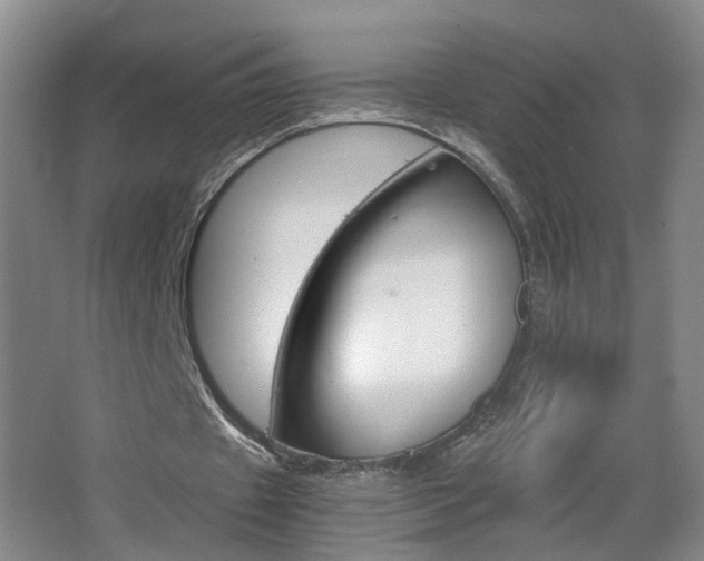 X0000063520433200601201129