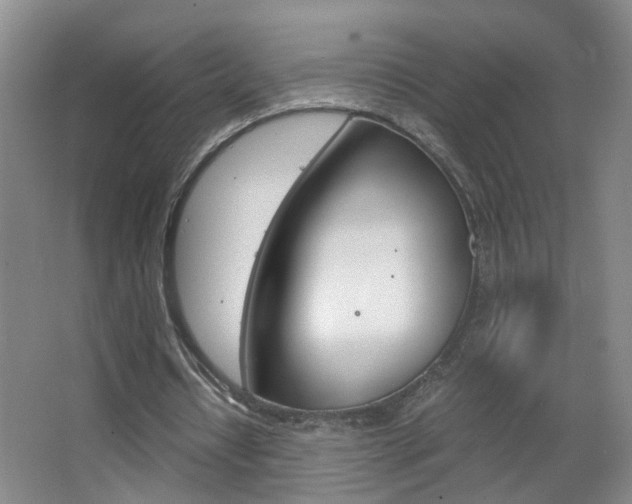 X0000063520434200601201129