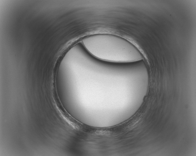 X0000063520437200601201129