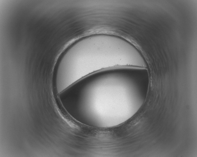 X0000063520438200601201129