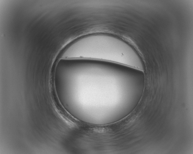 X0000063520439200601201129