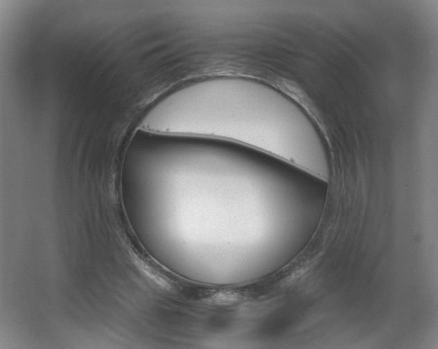 X0000063520441200601201129