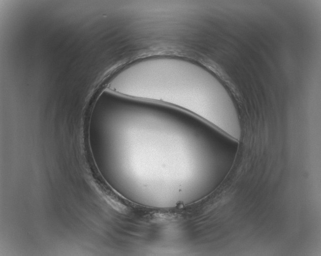 X0000063520442200601201129