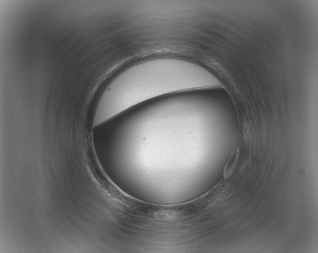 X0000063520444200601201129