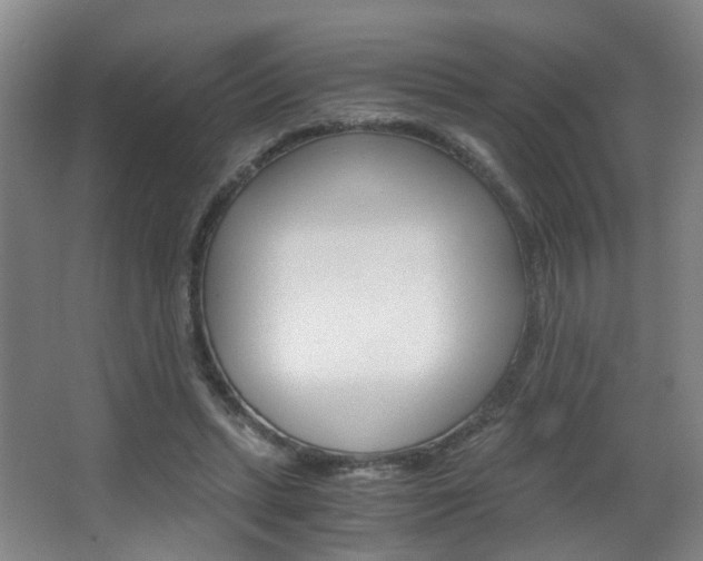 X0000063520447200601201129