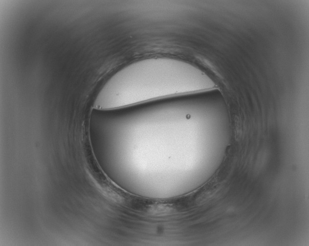 X0000063520451200601201130