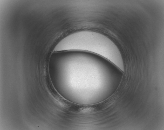 X0000063520452200601201130