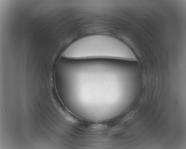 X0000063520453200601201130