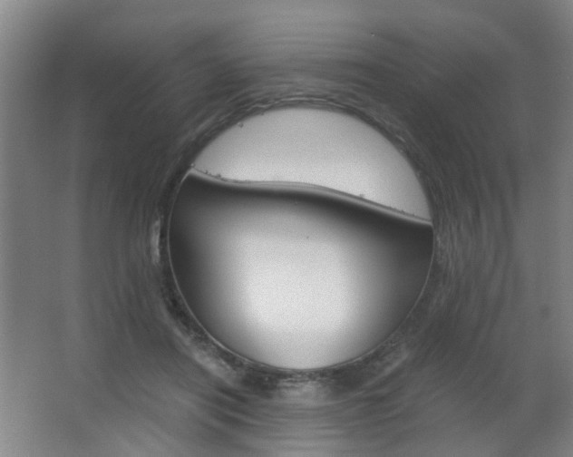 X0000063520454200601201130