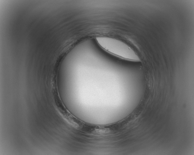 X0000063520455200601201130