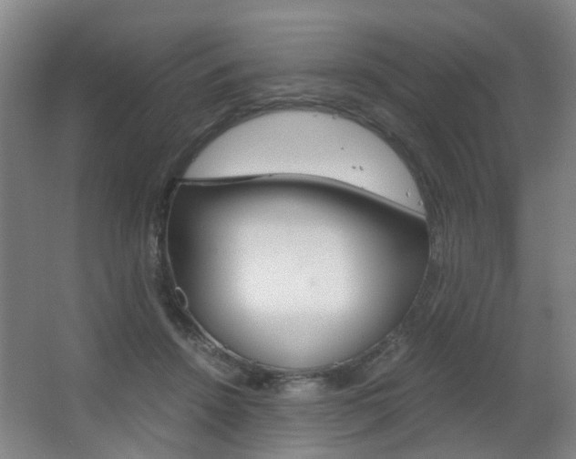 X0000063520456200601201130