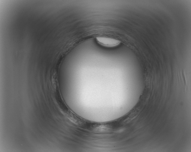 X0000063520460200601201130