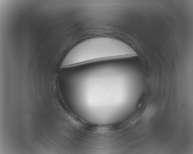 X0000063520462200601201130