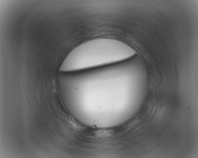 X0000063520465200601201130