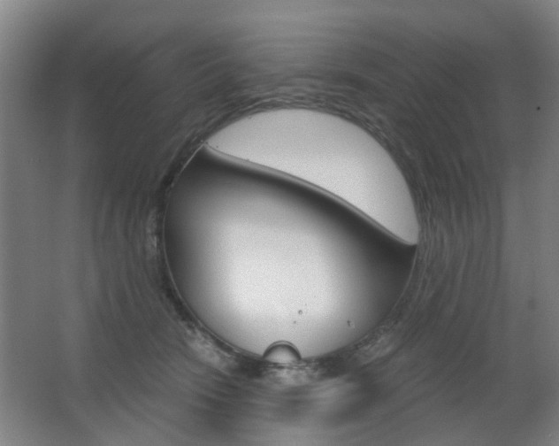 X0000063520466200601201130