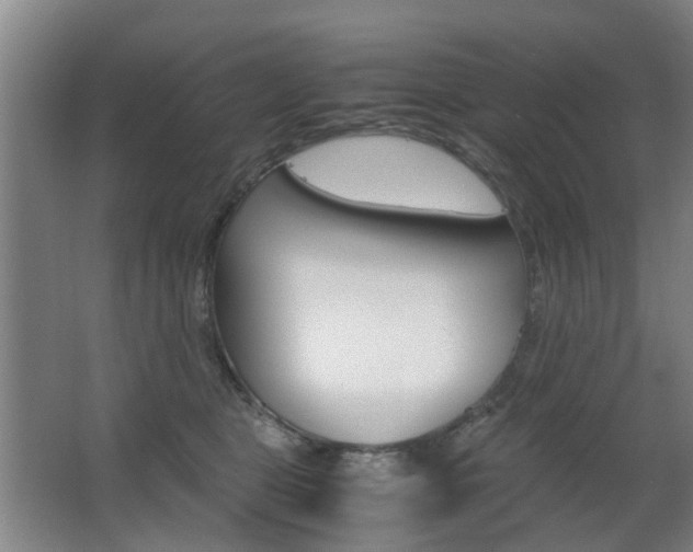 X0000063520469200601201130