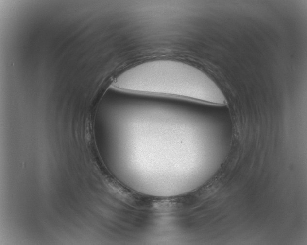 X0000063520470200601201130