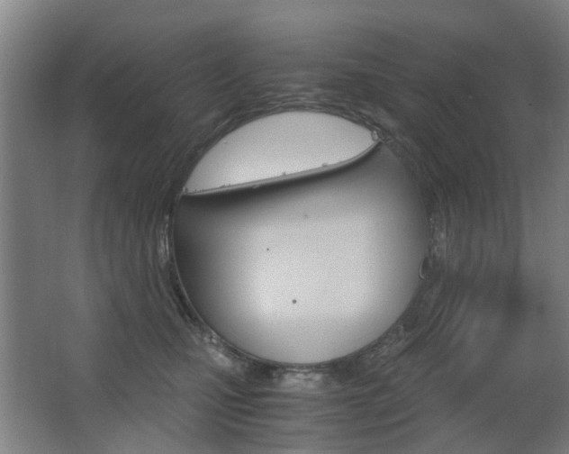 X0000063520471200601201130