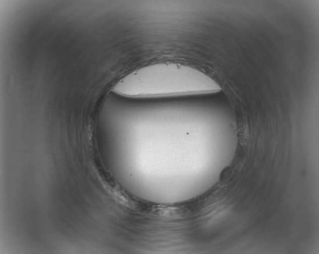 X0000063520472200601201130