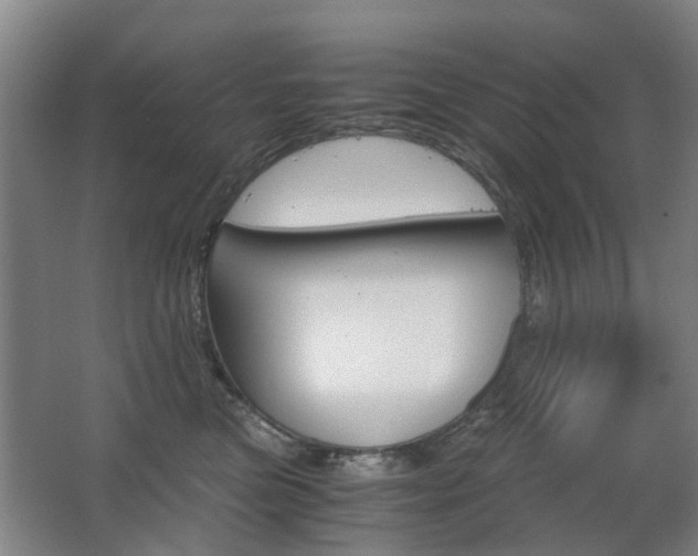 X0000063520473200601201130