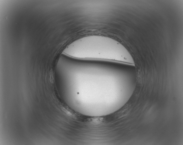 X0000063520474200601201130