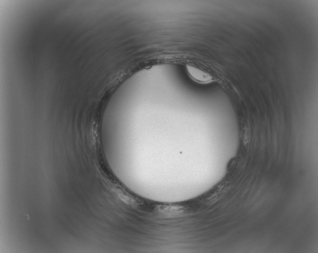 X0000063520476200601201130