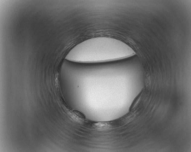 X0000063520477200601201130