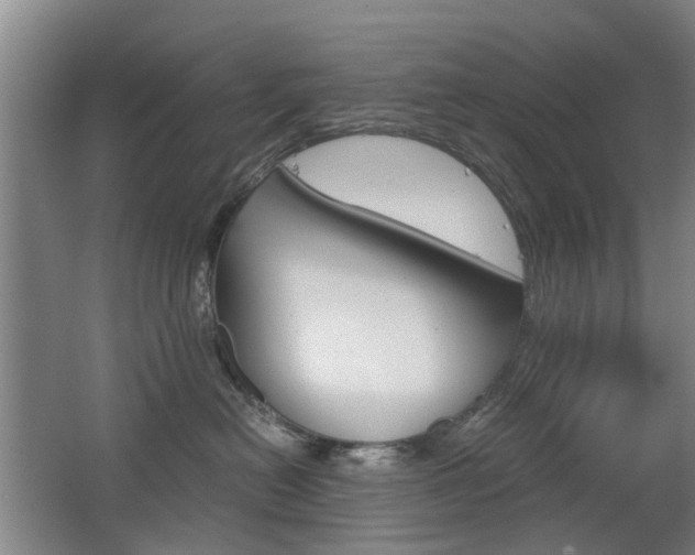 X0000063520478200601201130