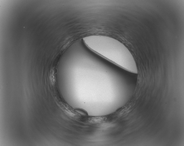 X0000063520479200601201130