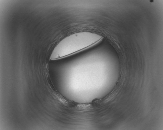 X0000063520480200601201130