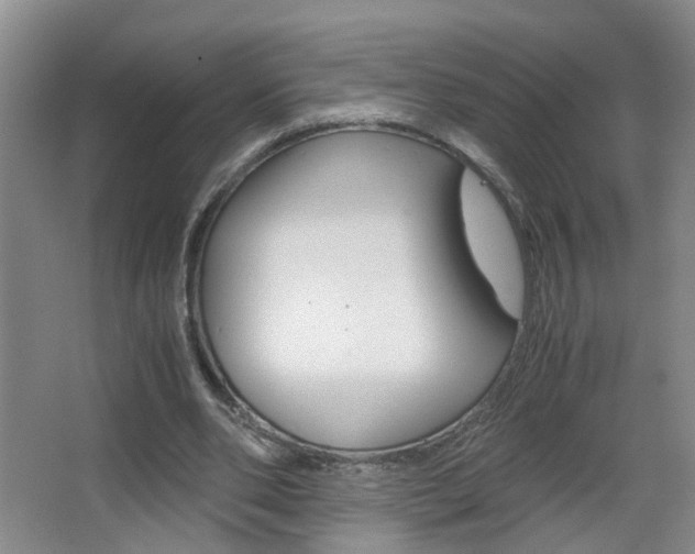 X0000063520486200601201129