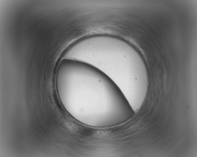 X0000063520487200601201129