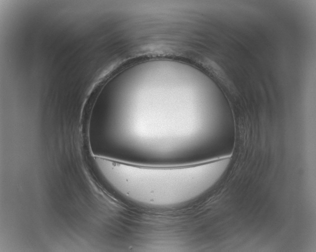 X0000063520488200601201129