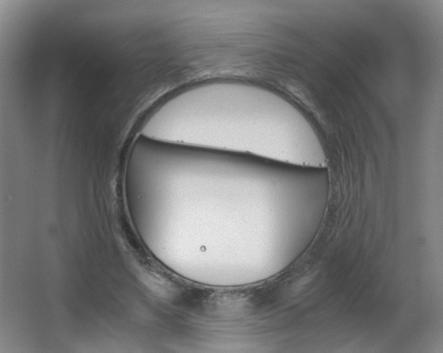 X0000063520491200601201129