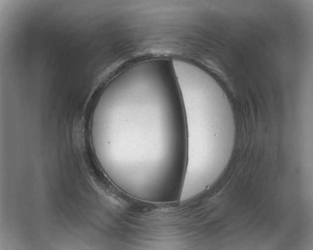 X0000063520492200601201129