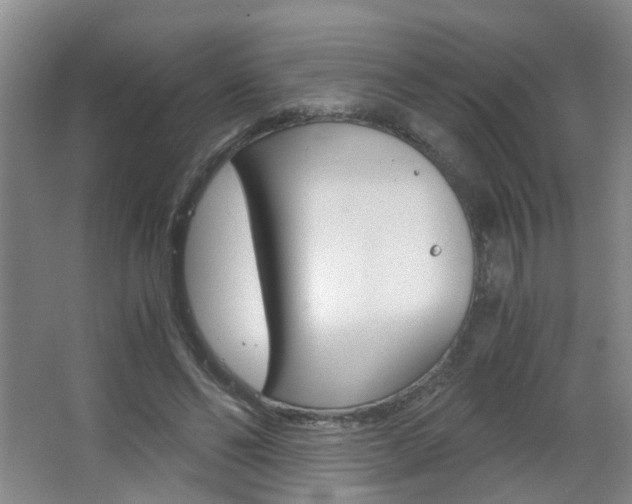 X0000063520494200601201129